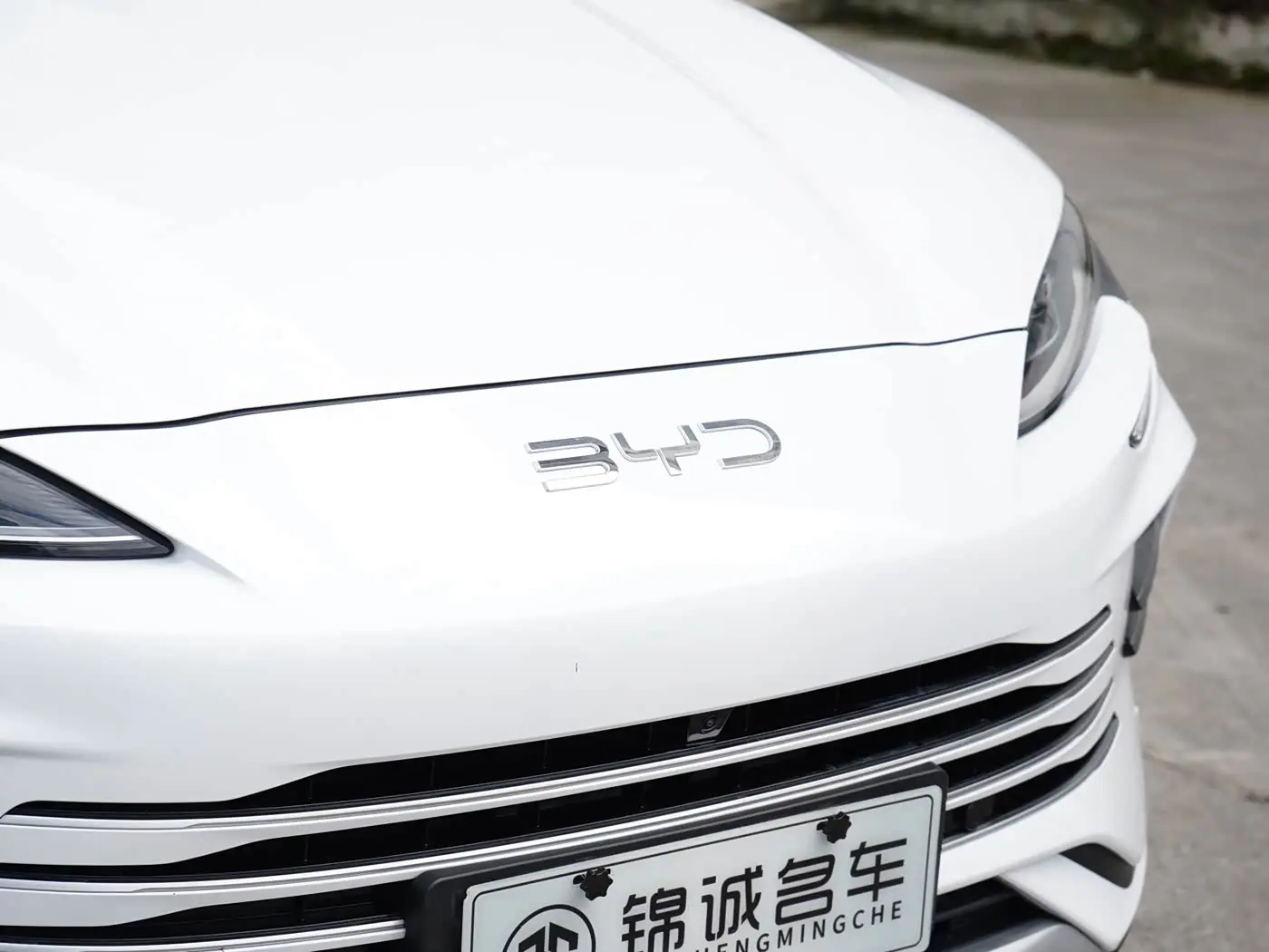 BYD Song PLUS PHEV 2025 — Фото 11/15