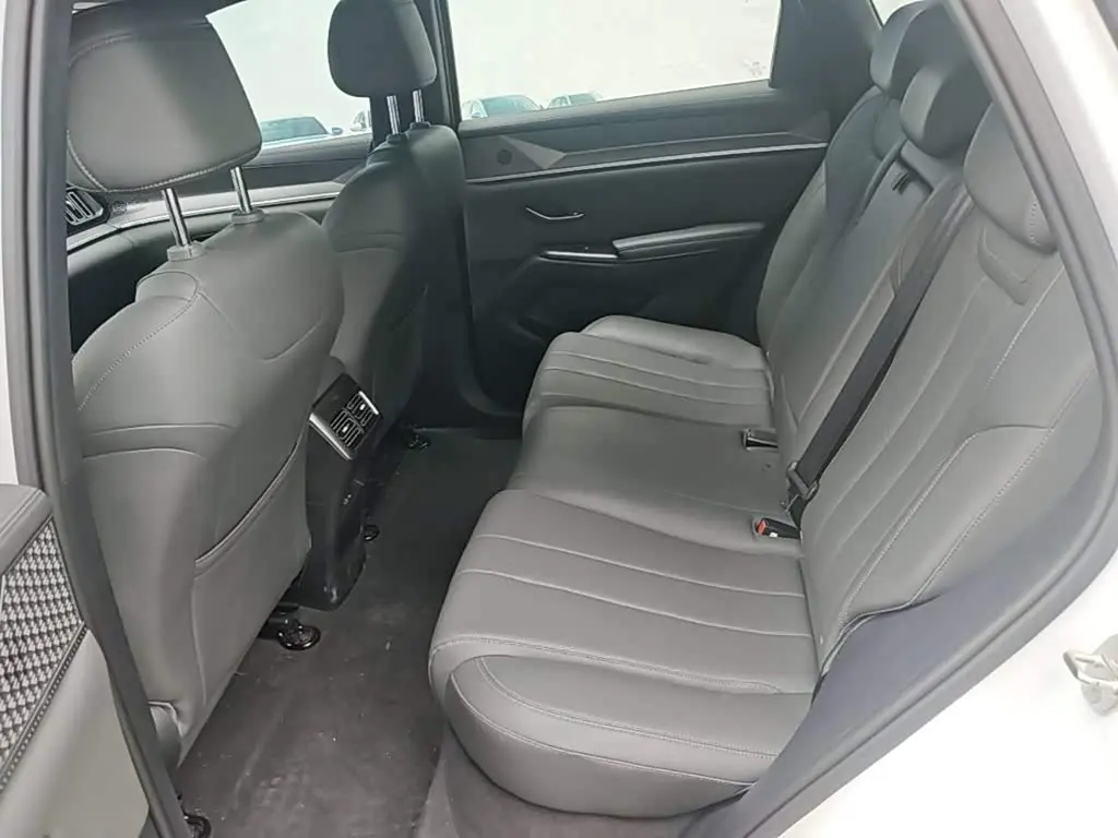 BYD Song Pro New Energy 2025 — Photo 17/20