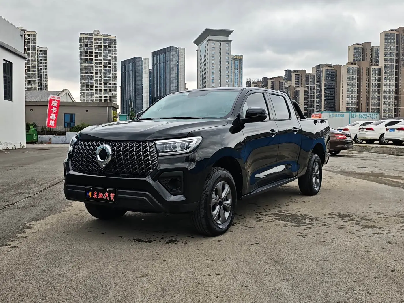 Great Wall Pao 2025 — Photo 2/15