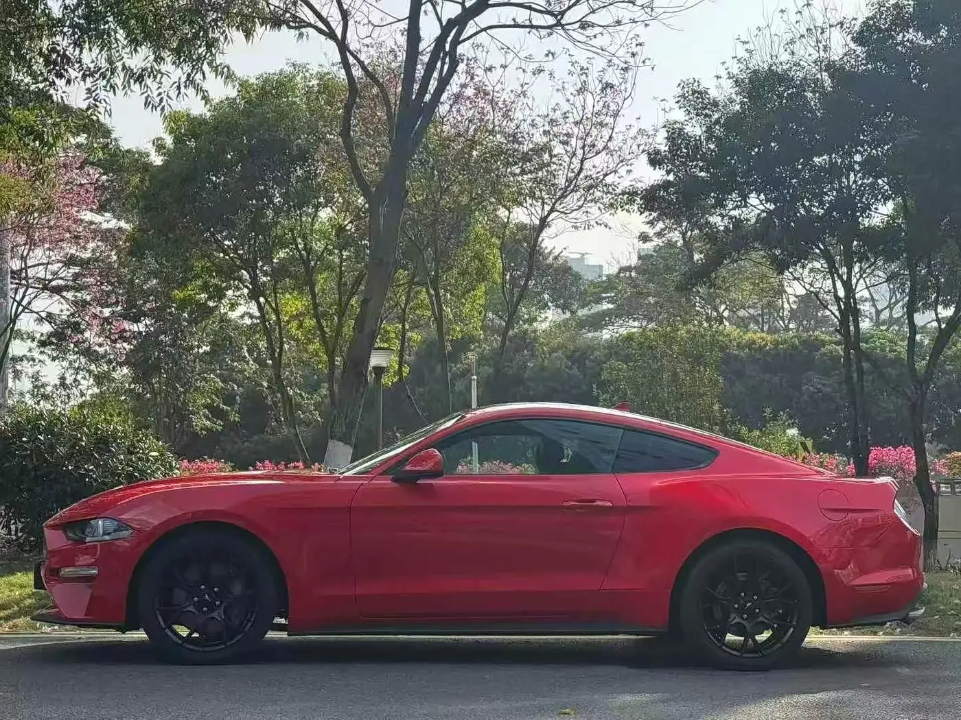 Ford Mustang 2021 — Photo 4/15