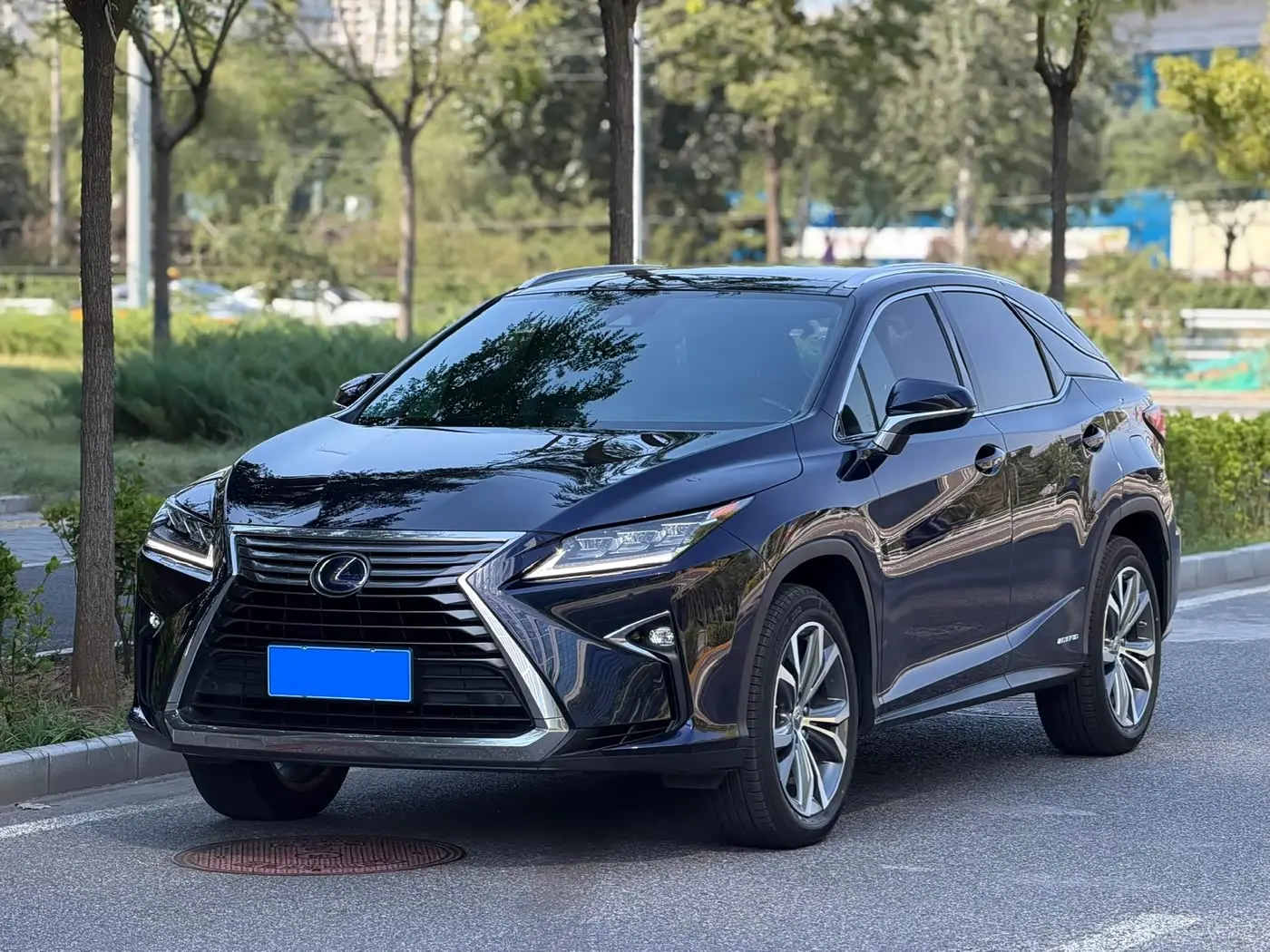 Lexus RX 2017 — Photo 1/20