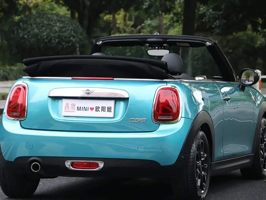 MINI MINI 2019 — Photo 4/20