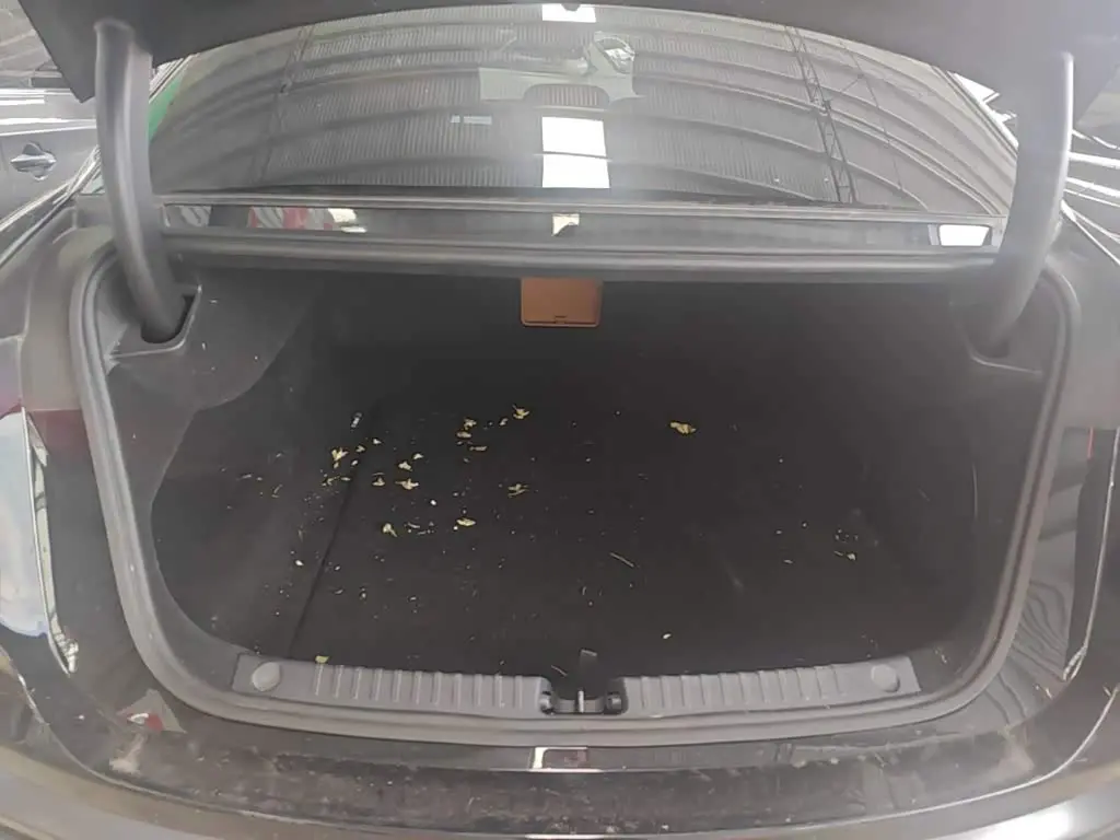BYD Han L 2025 — Şəkil 19/20