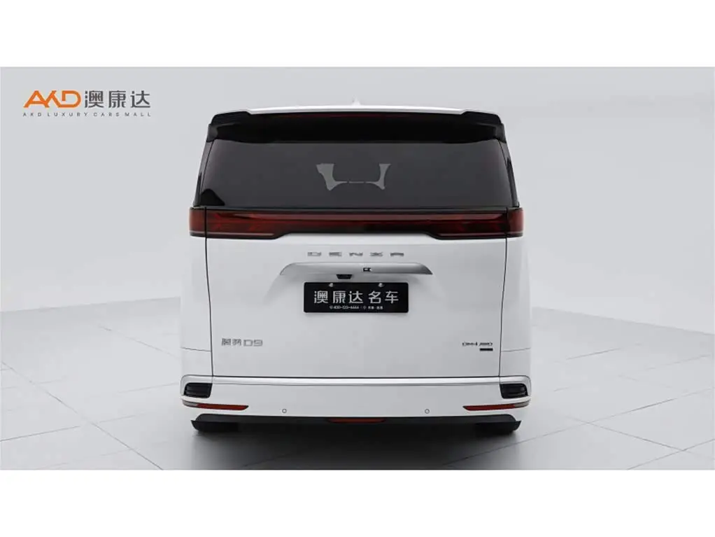 Denza D9 2025 — Photo 4/11