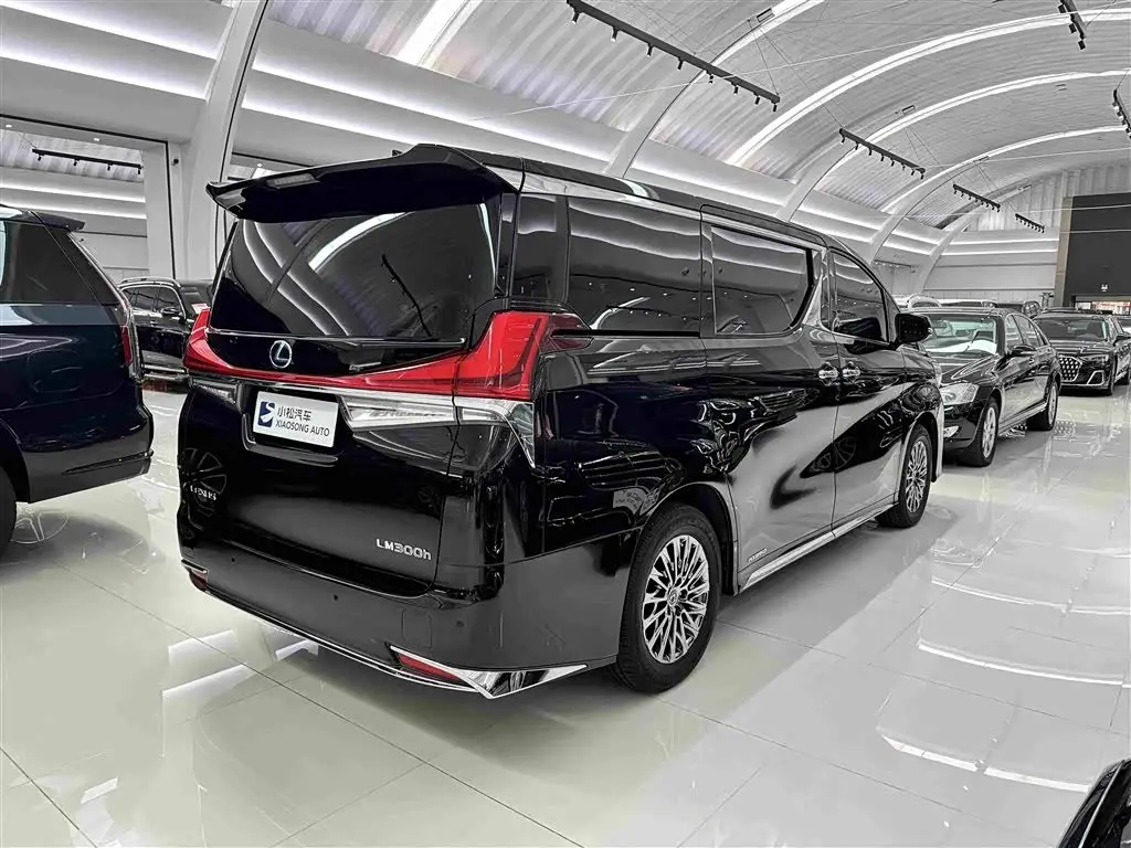 Lexus LM 2022 — Şəkil 4/20