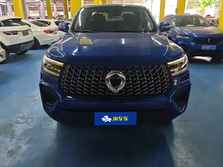 Great Wall Pao 2025 — ფოტო 2/16