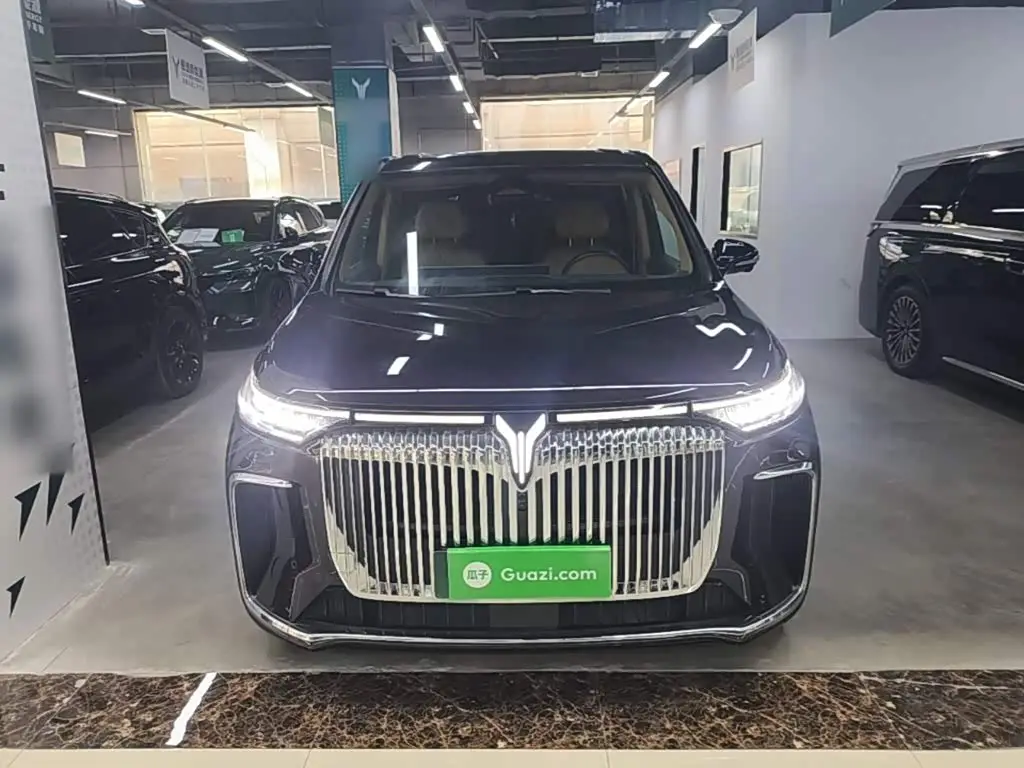 Voyah Auto Voyah Dreamer 2024 — Photo 3/20