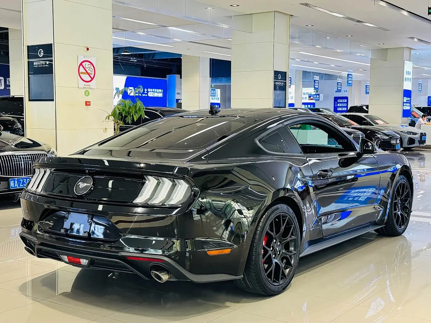 Ford Mustang 2022 — Photo 10/20