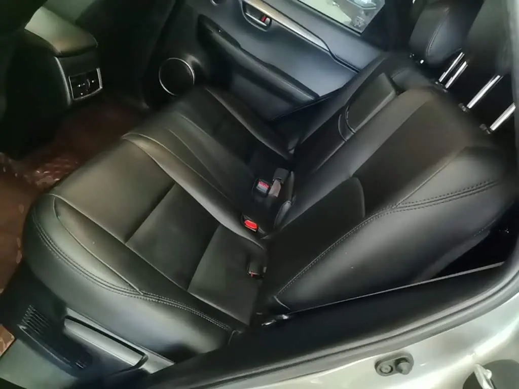 Lexus NX 2017 — Photo 17/20