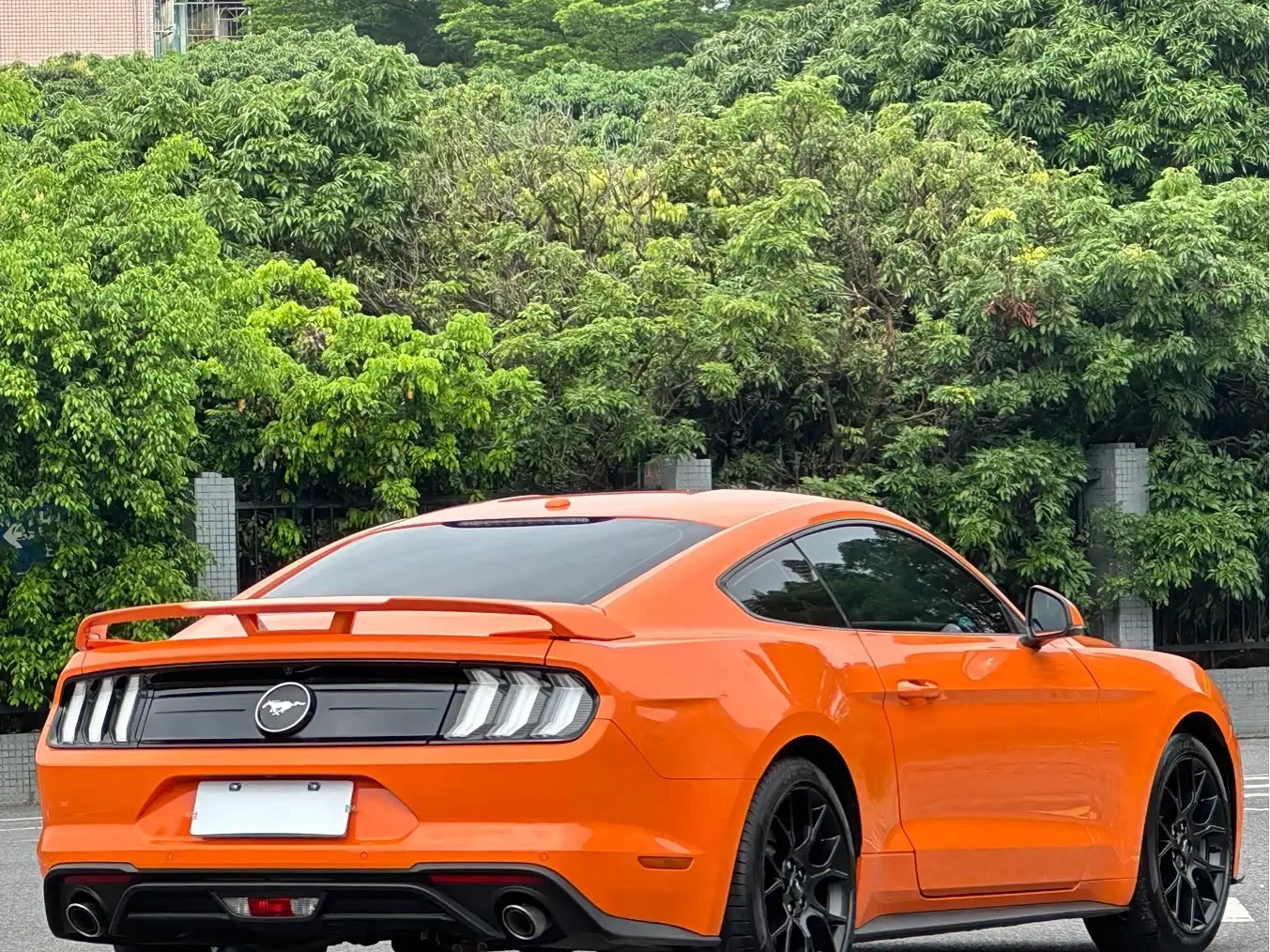 Ford Mustang 2021 — Фото 5/18