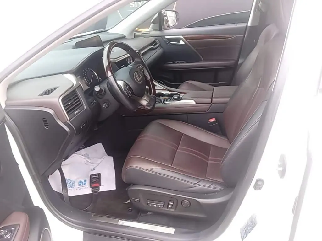 Lexus RX 2016 — Photo 11/20