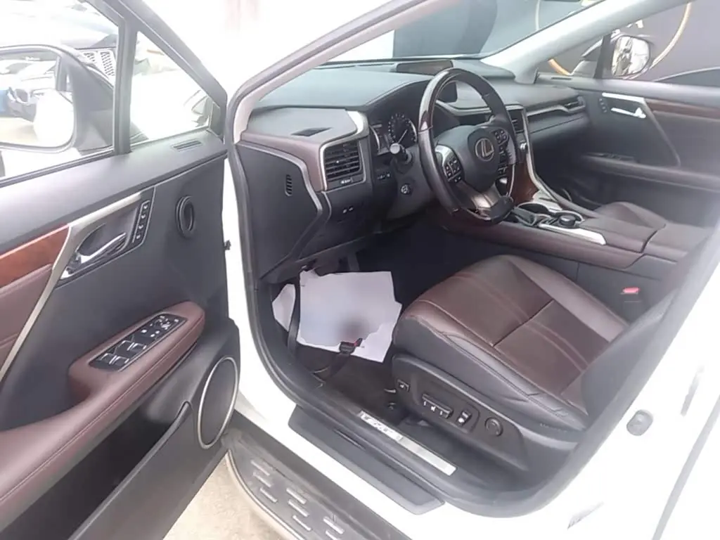 Lexus RX 2016 — Photo 12/20