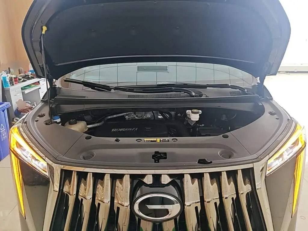 GAC Trumpchi Trumpchi M8 2023 — Şəkil 20/20