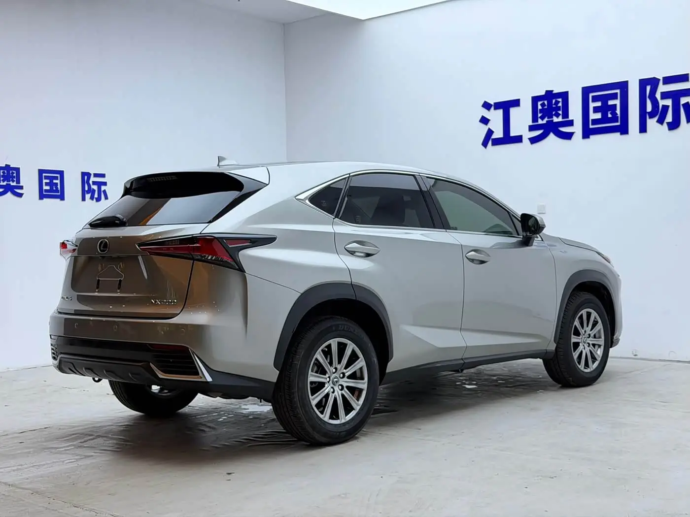 Lexus NX 2020 — Фото 19/20