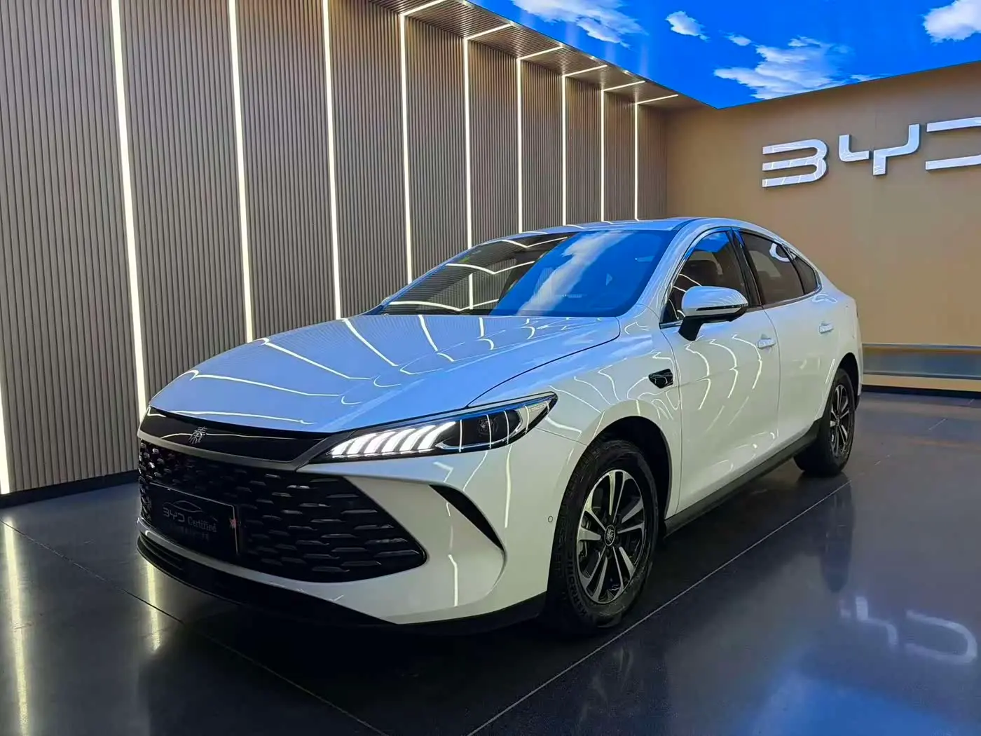 BYD Qin PLUS 2025 — Photo 1/16