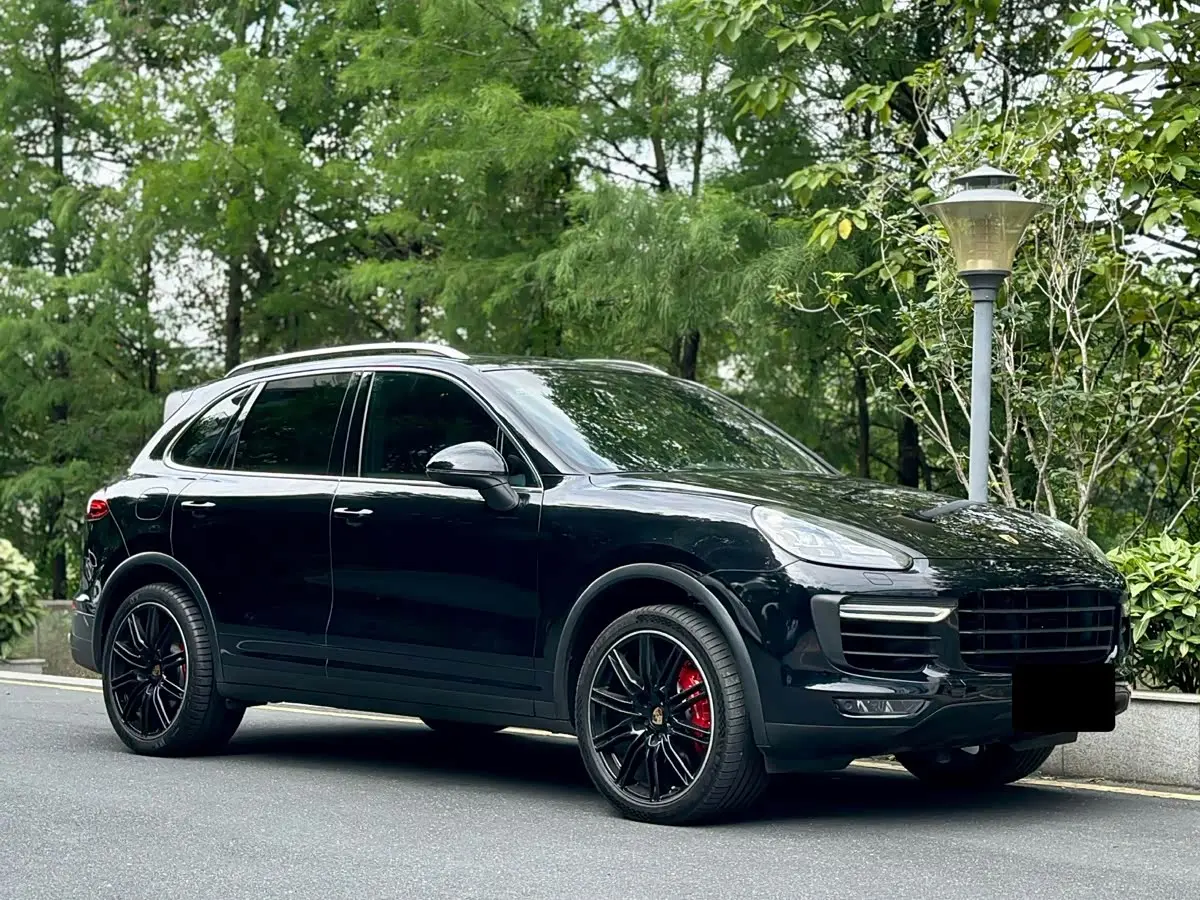 Porsche Cayenne 2015 — ფოტო 3/20