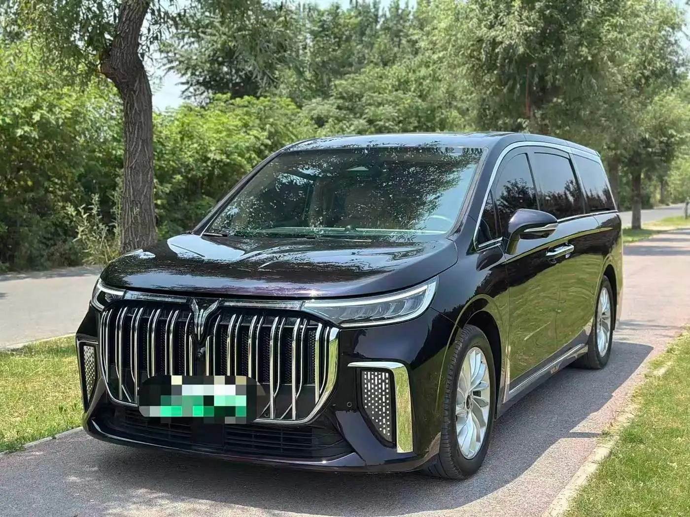 Voyah Auto Voyah Dreamer, 2024