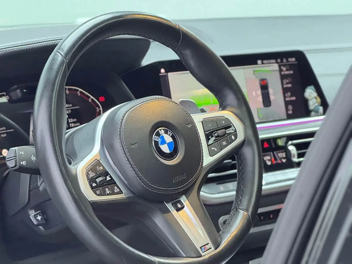 BMW X7 2019 — Photo 7/12