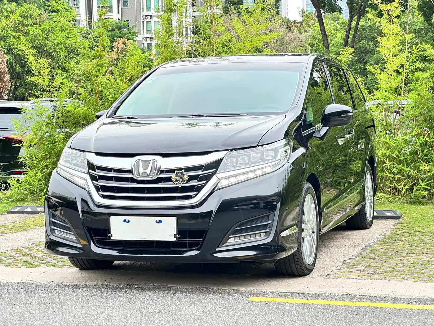 Honda Elysion 2019 — Şəkil 1/20