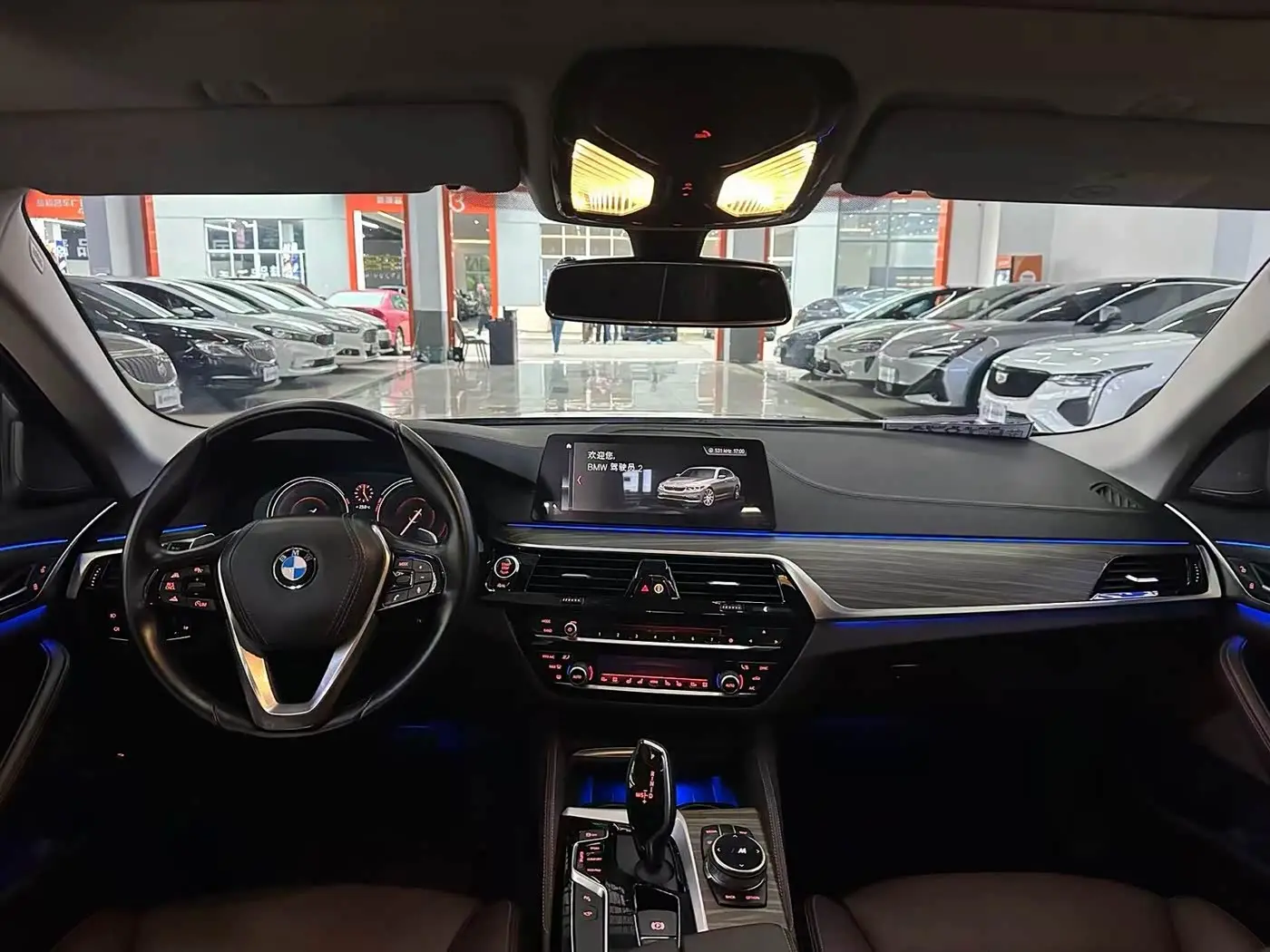 BMW 5 Series 2018 — Фото 9/16