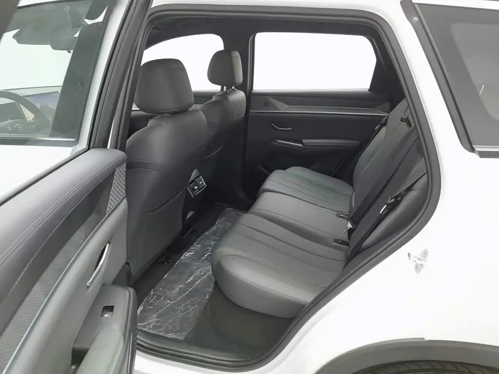 BYD Song Pro New Energy 2025 — Фото 15/20