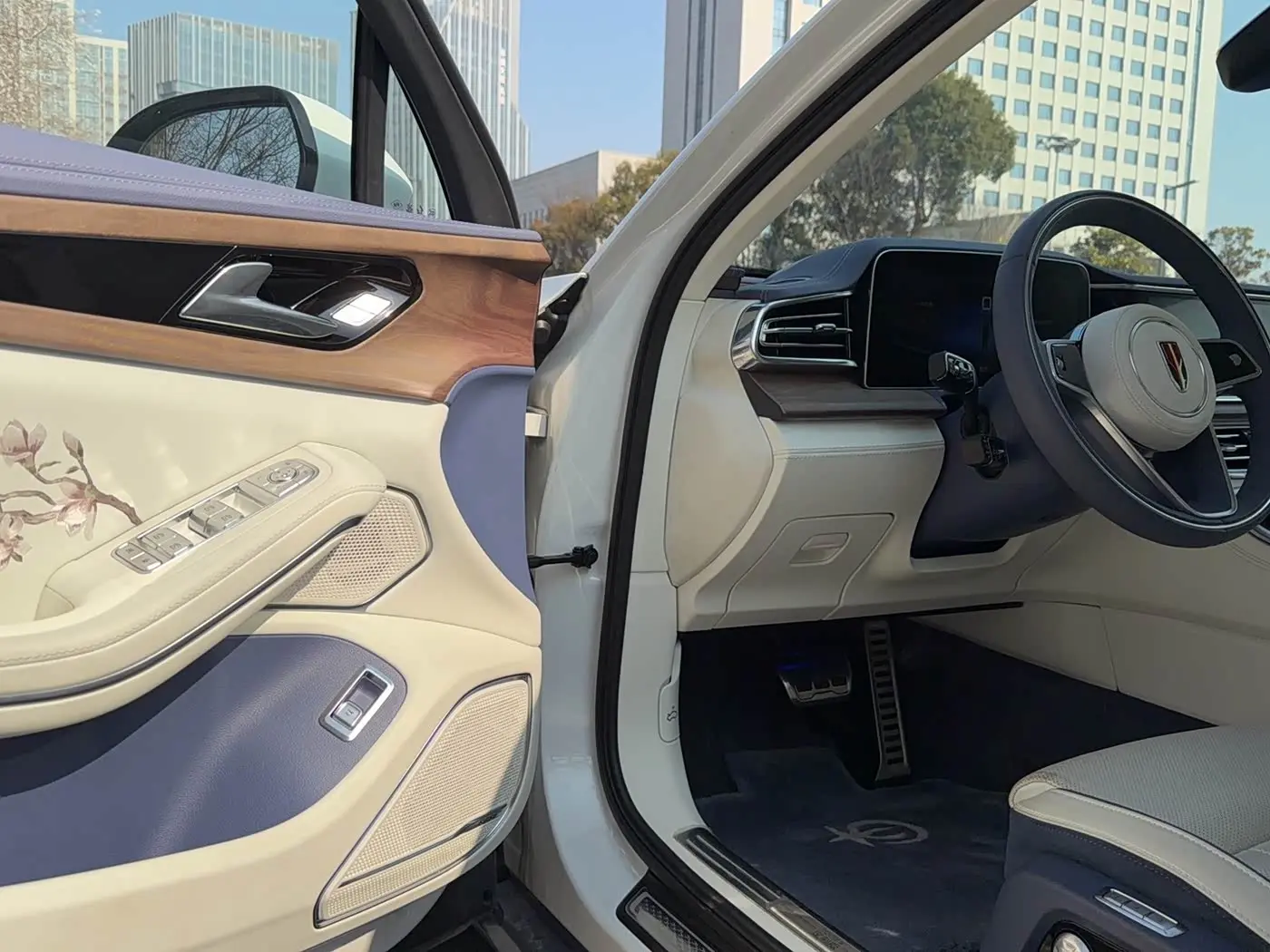 Hongqi H9 2024 — Şəkil 15/20