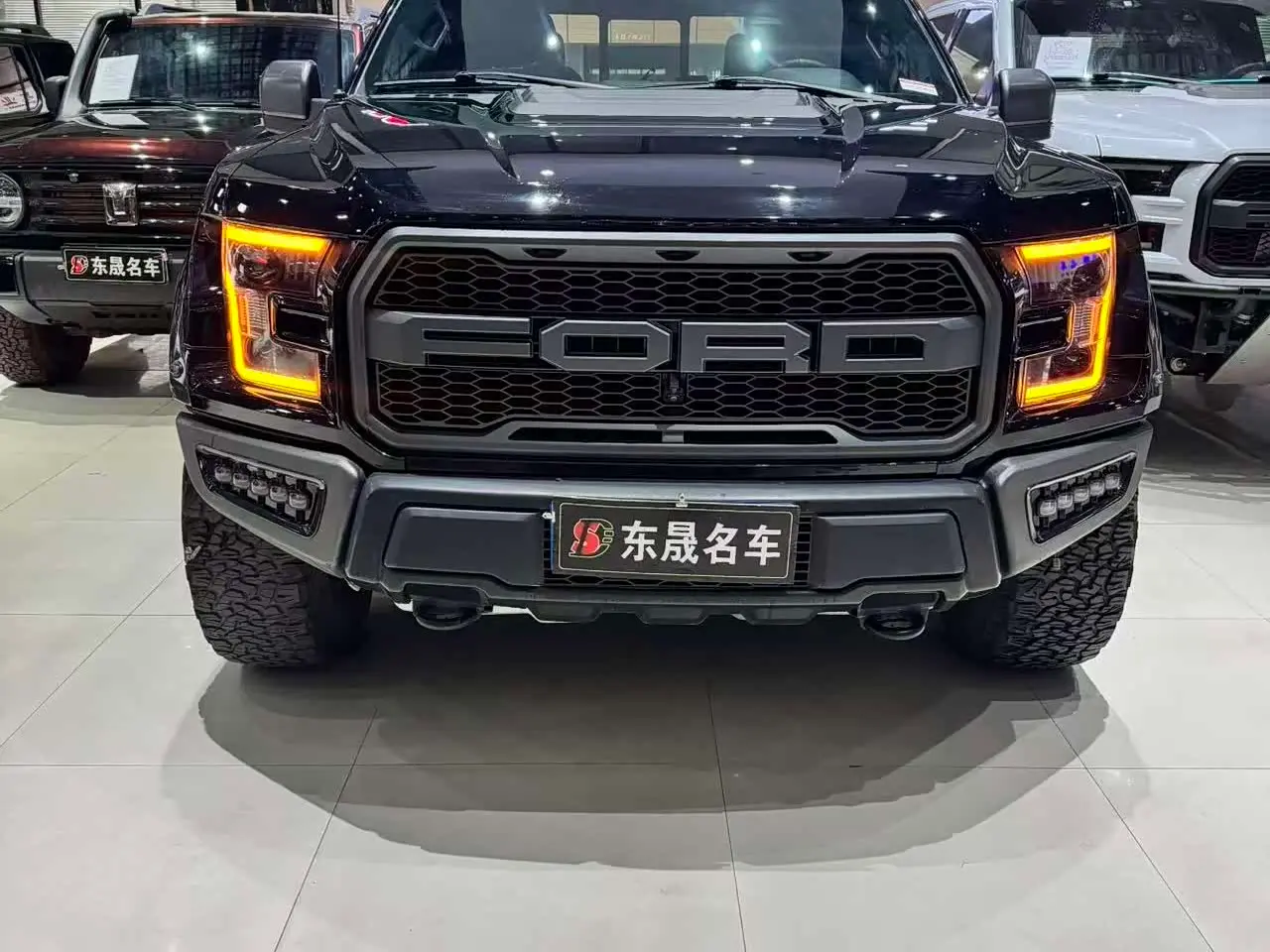 Ford F-150 Raptor 2018 — Фото 2/9