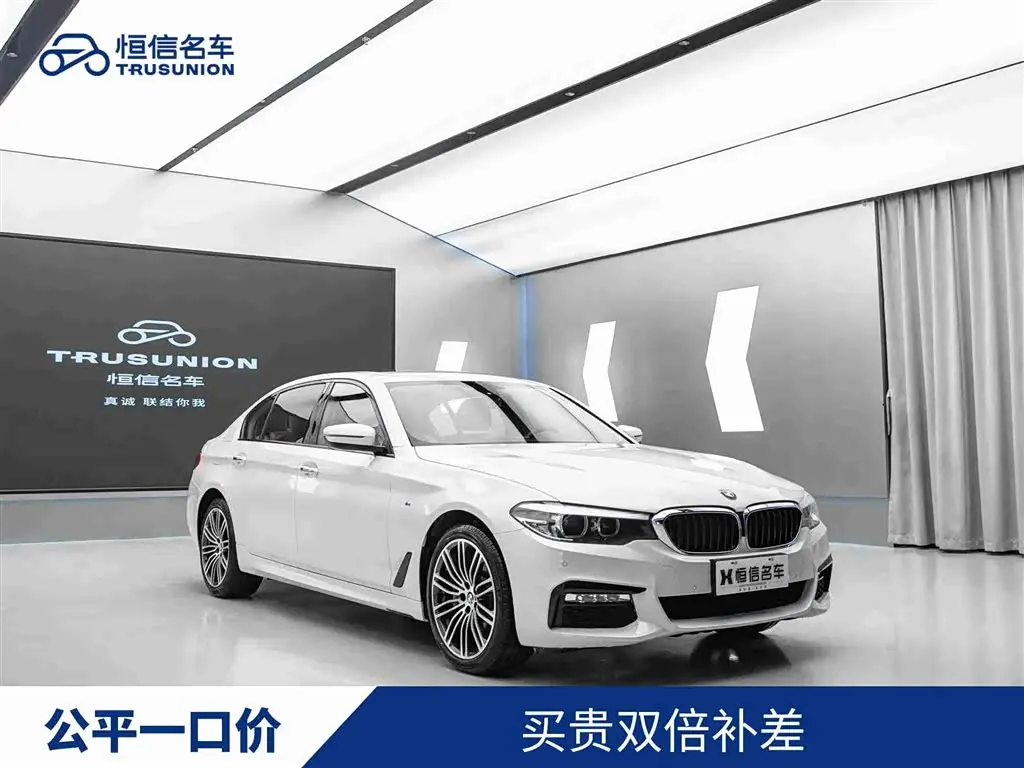 BMW 5 Series 2019 — Photo 1/20