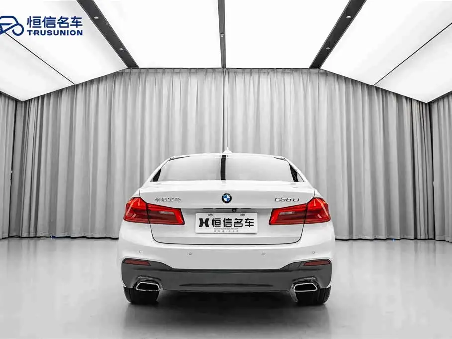 BMW 5 Series 2019 — Photo 6/20