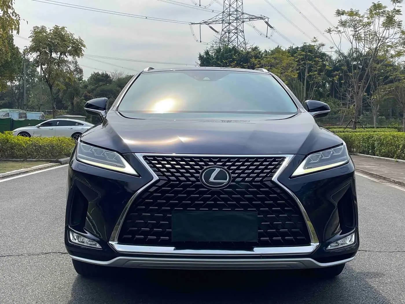 Lexus RX 2020 — Şəkil 2/18