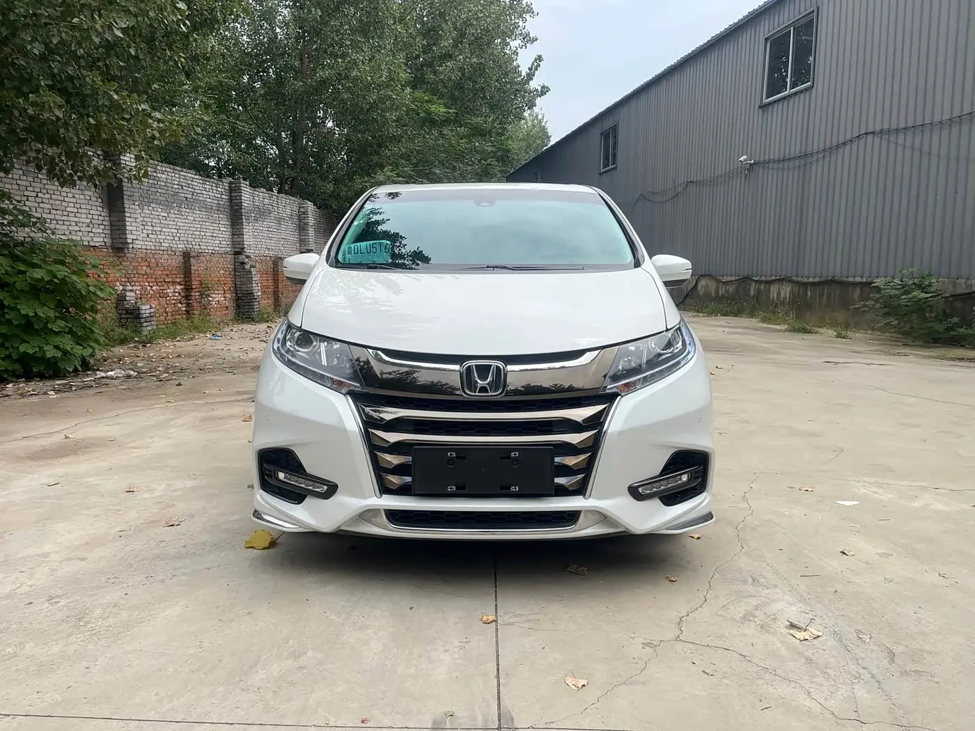 Honda Odyssey 2020 — Фото 1/11