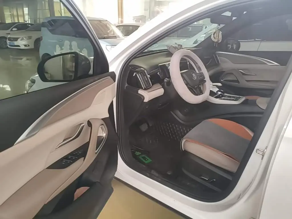 BYD Song Pro New Energy 2024 — Фото 16/20
