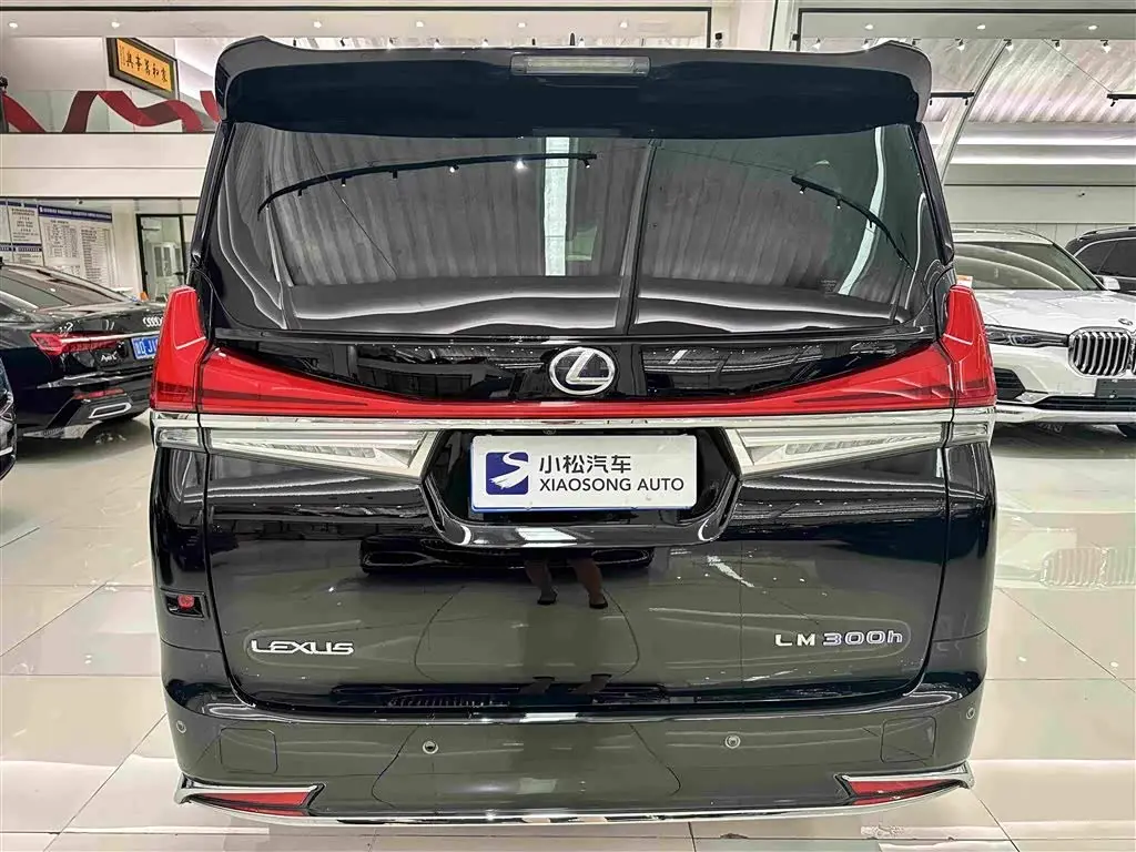 Lexus LM 2023 — Photo 20/20