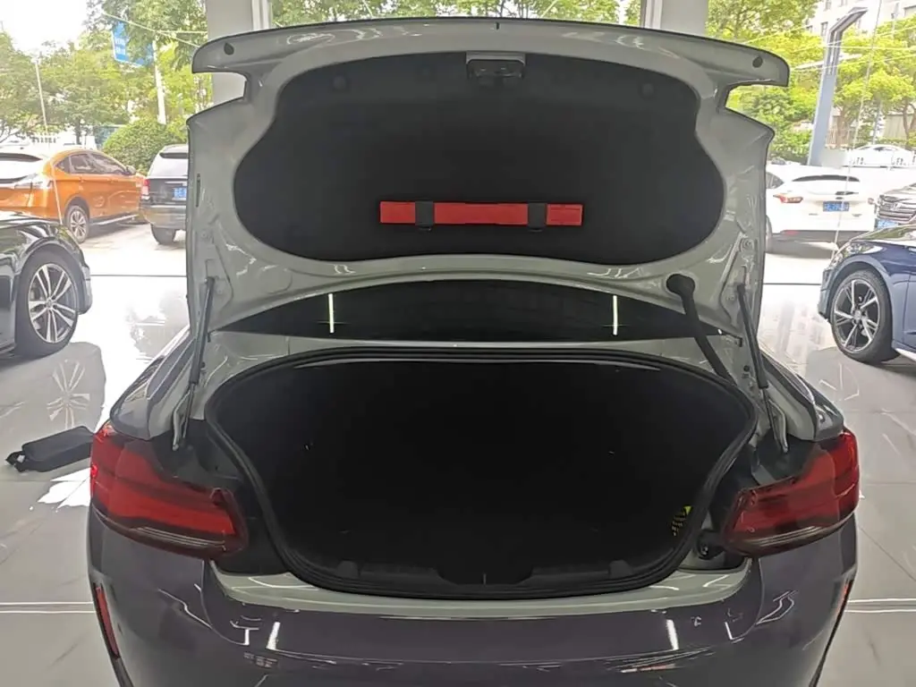 BMW M2 2019 — Photo 19/20