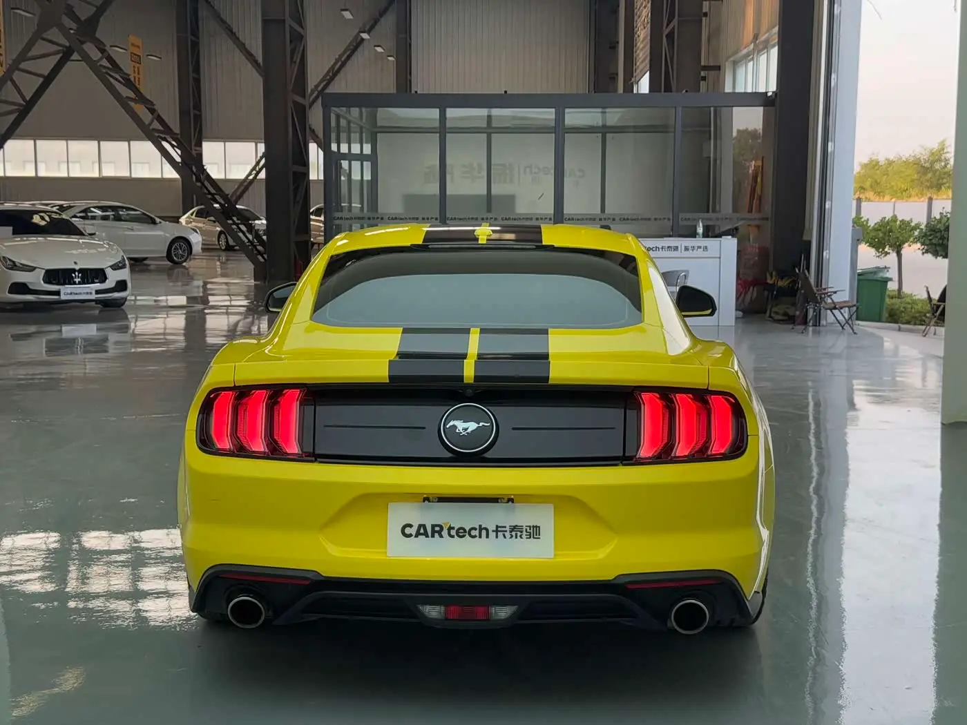 Ford Mustang 2020 — Photo 15/15