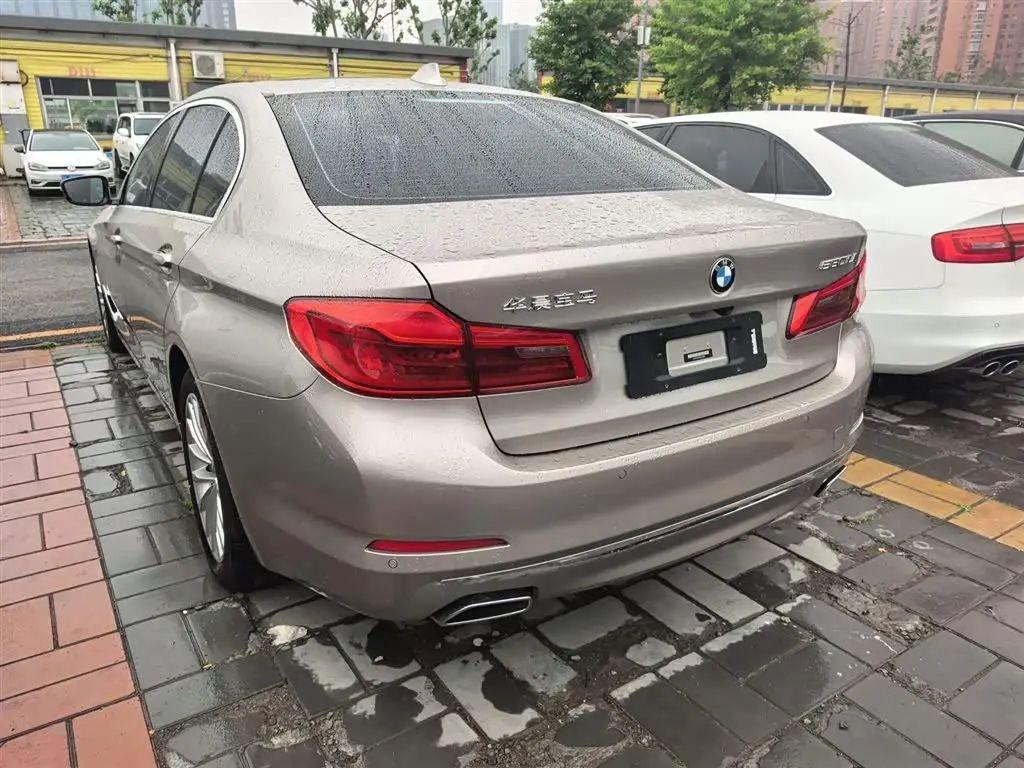 BMW 5 Series 2019 — Photo 8/16