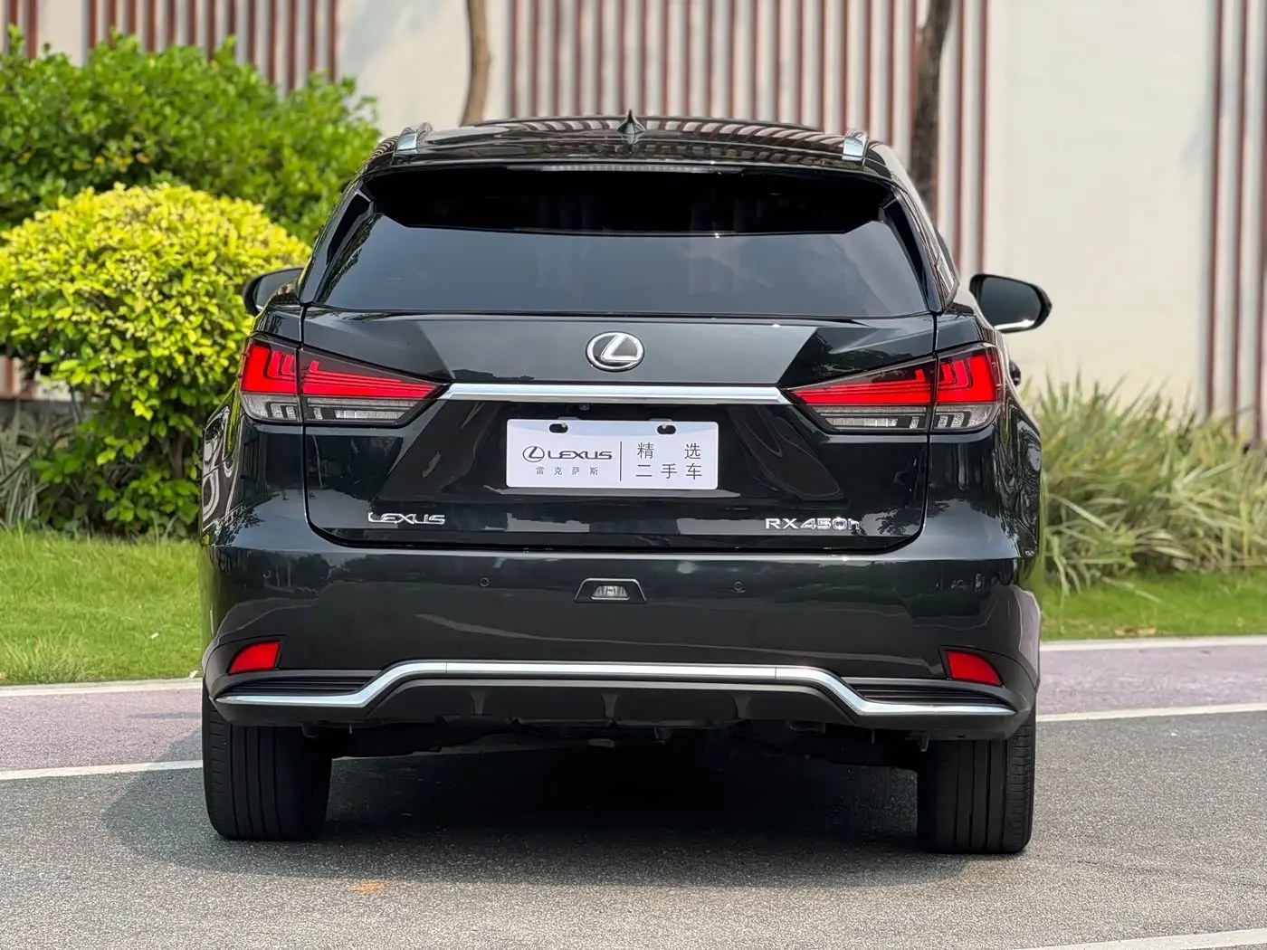 Lexus RX 2022 — Photo 14/16