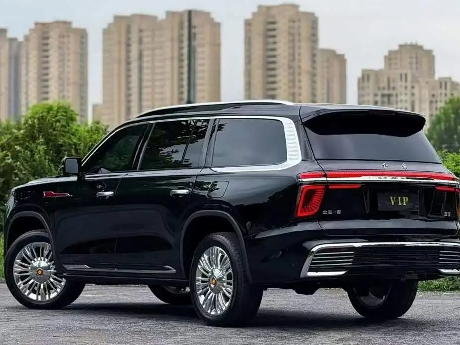 Hongqi Guoyao 2023 — Şəkil 3/9