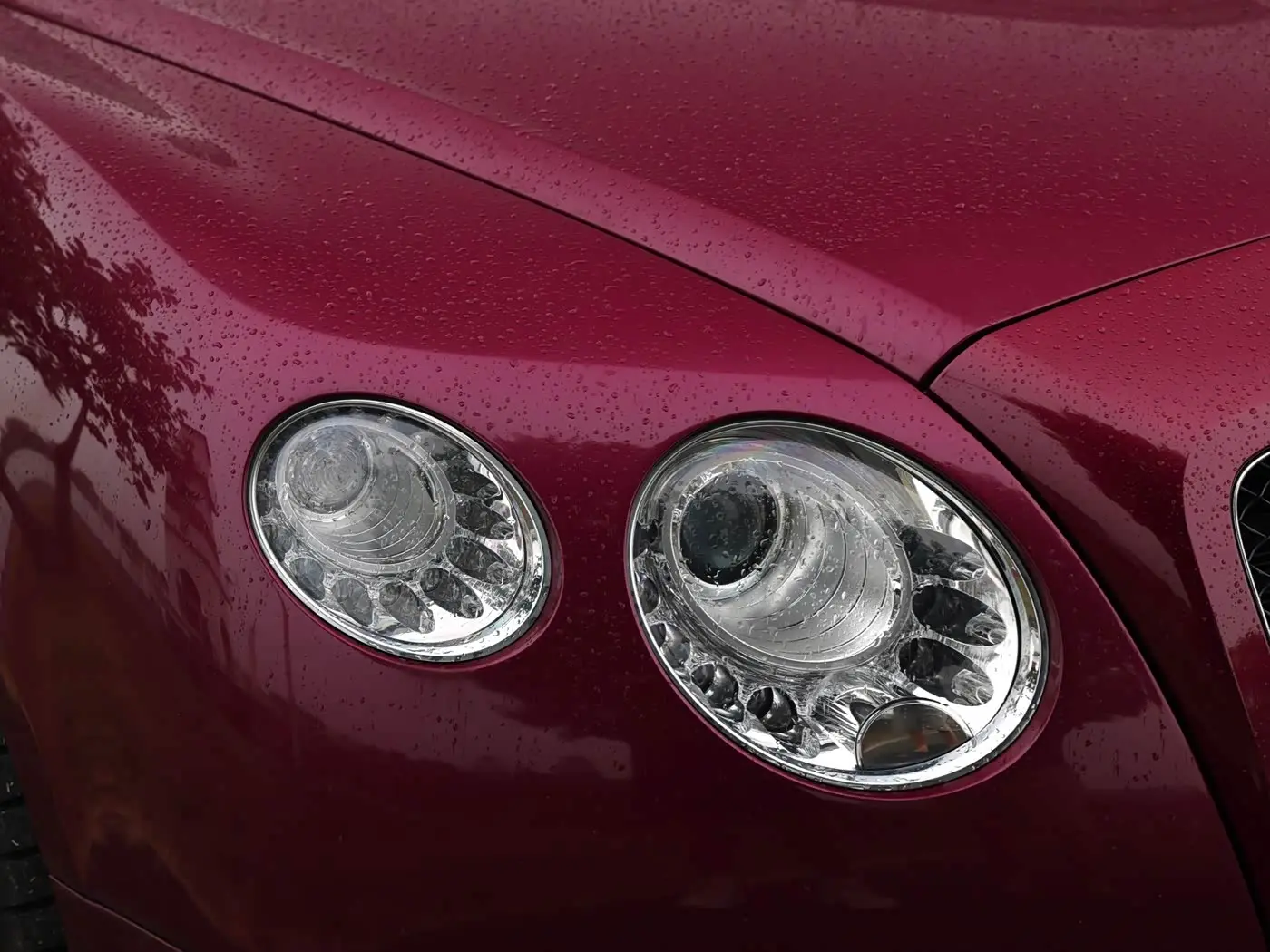 Bentley Continental 2014 — Фото 7/16