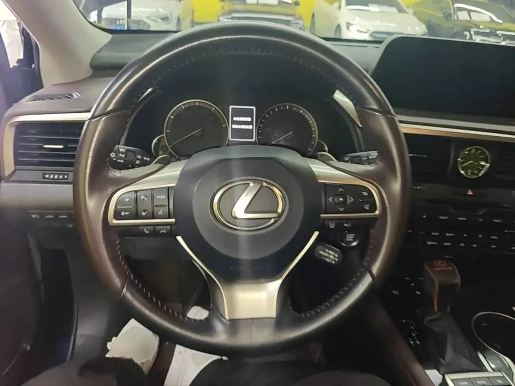 Lexus RX 2021 — Photo 11/20