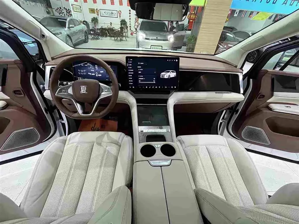 BYD Xia 2025 — Фото 7/20