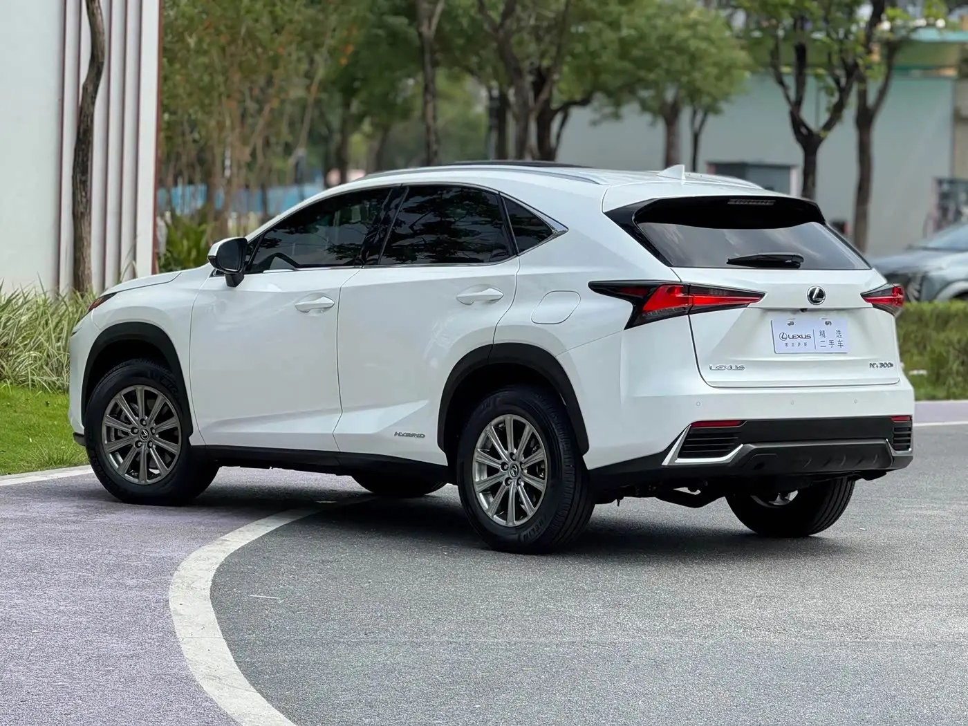 Lexus NX 2020 — Фото 4/15
