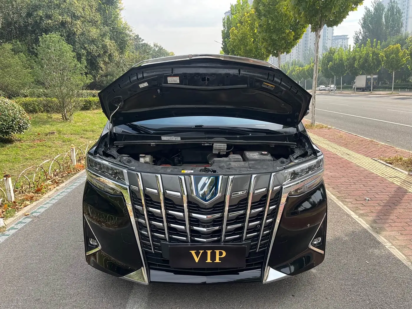 Toyota Alphard 2022 — Фото 10/10