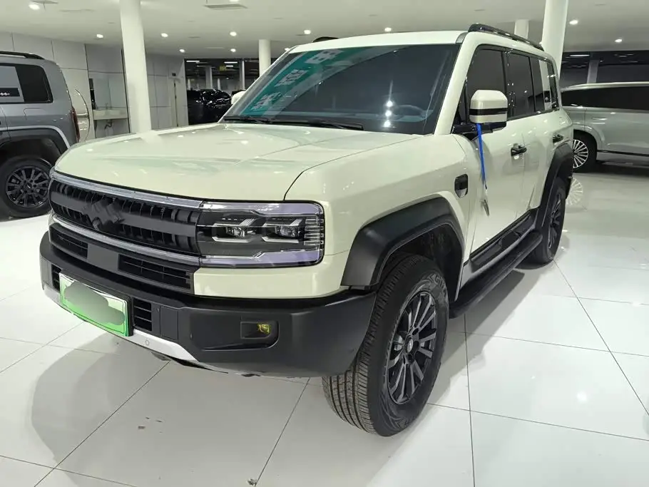Fang Cheng Bao Leopard 5, 2025