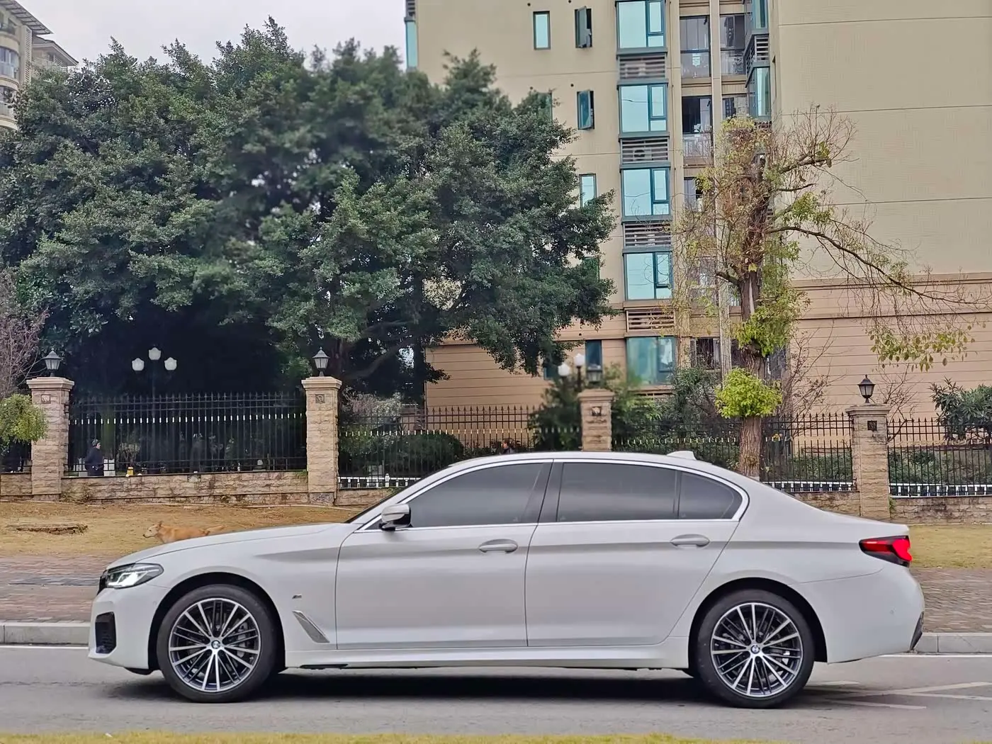 BMW 5 Series 2024 — Photo 4/20