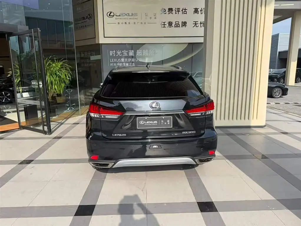 Lexus RX 2021 — Фото 4/8
