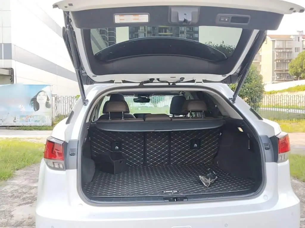 Lexus RX 2021 — Photo 19/20