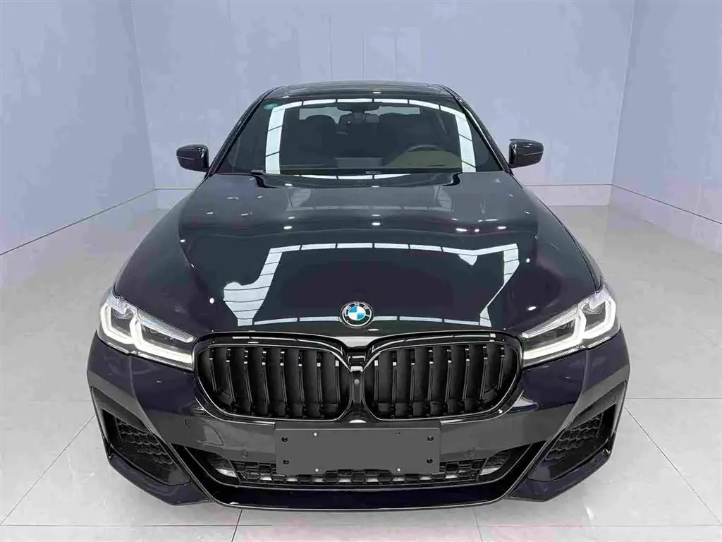 BMW 5 Series 2019 — Photo 2/17