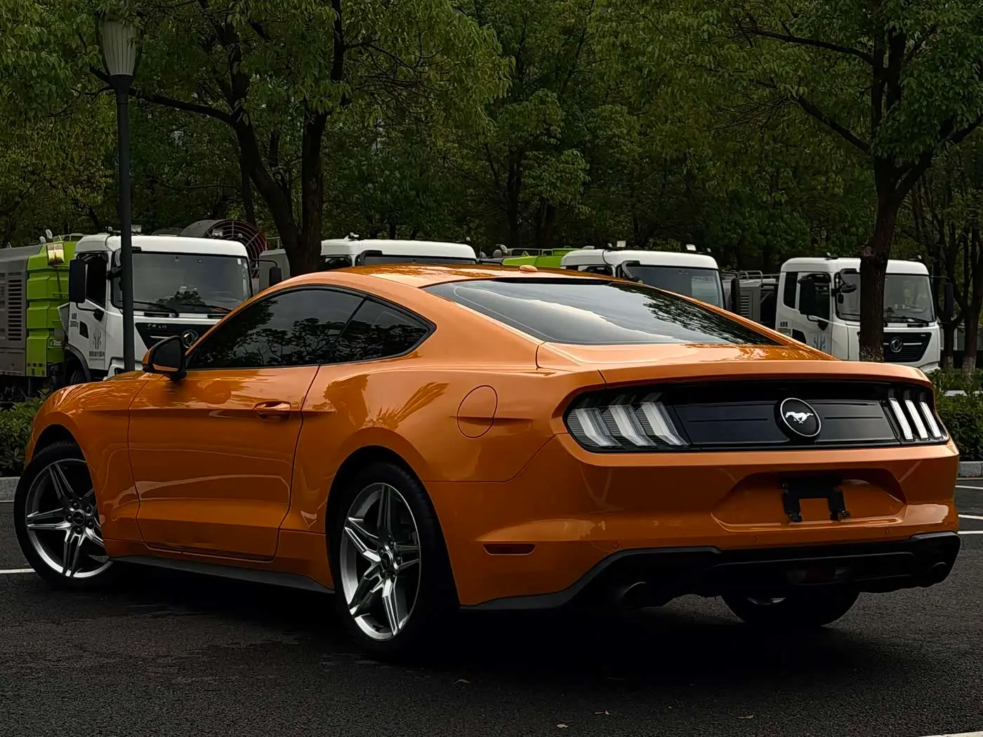 Ford Mustang 2019 — Photo 6/16