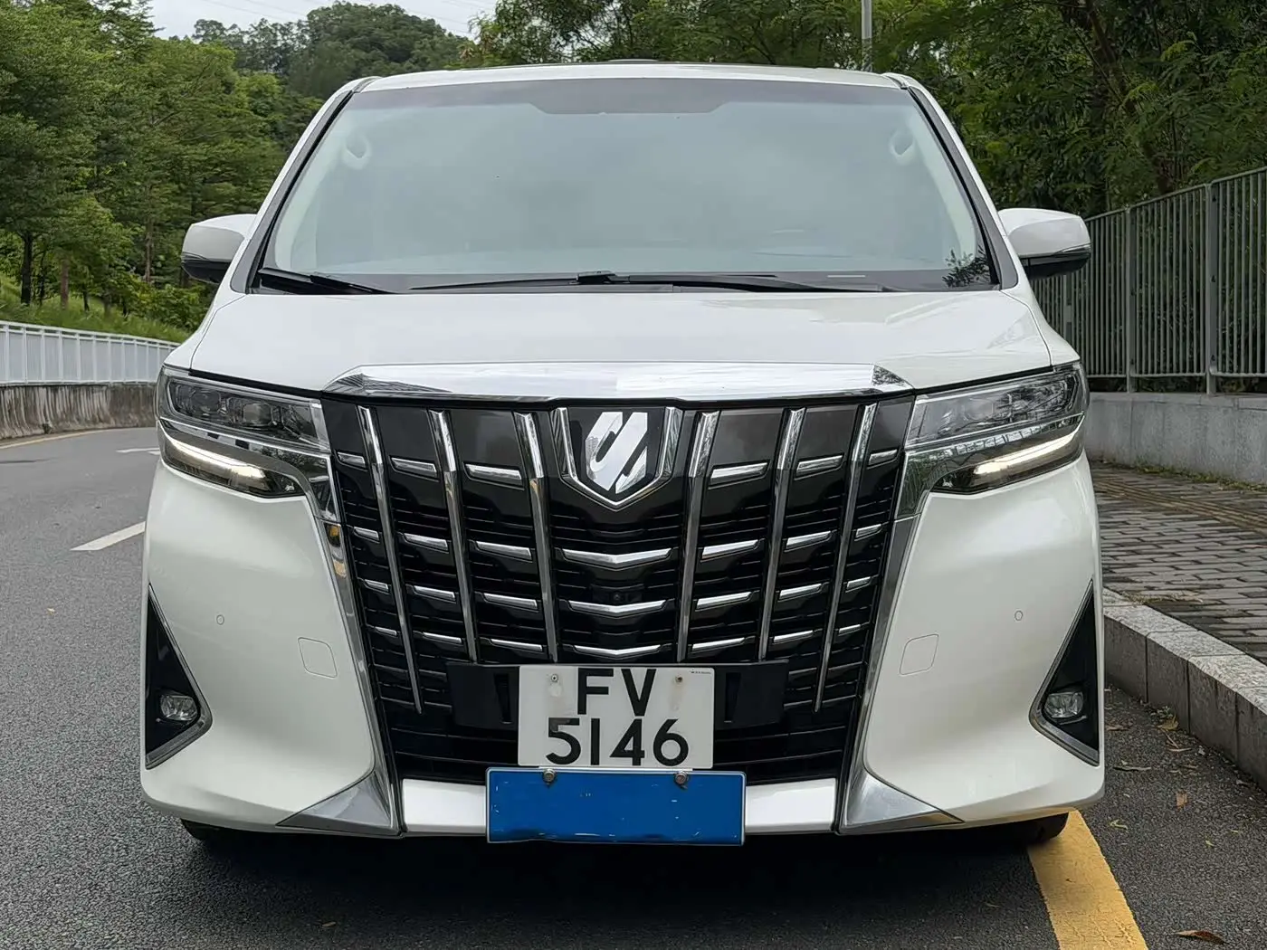 Toyota Alphard 2019 — ფოტო 2/14